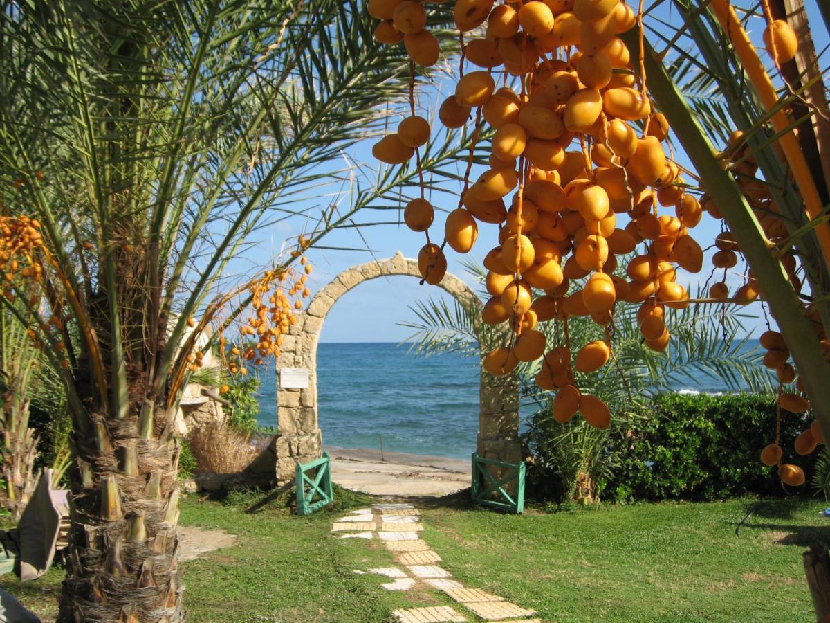 Topset Hotel Agios Georgios (Kyrenia) Exterior foto